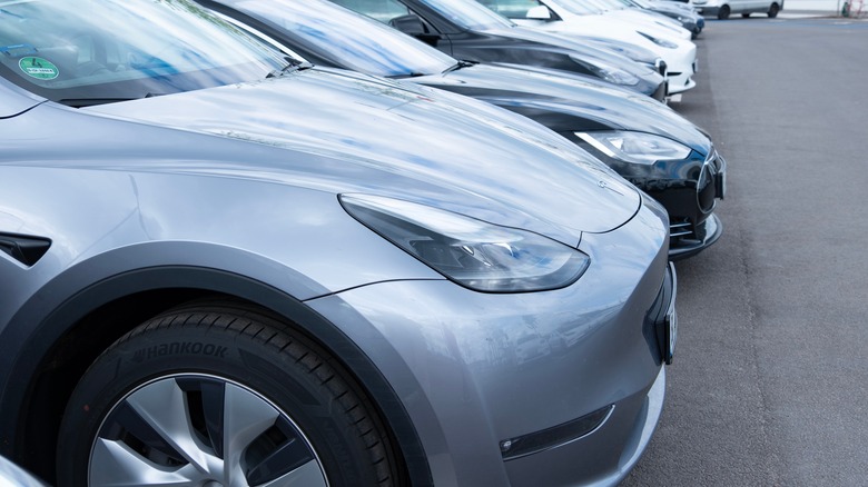 used model y